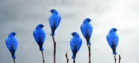 ЕППА – не панацея. Серебряной пули не существует