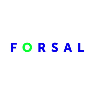 Форсал Аудит информационной системы для производителя бытовой химии  Форсал Аудит информационной системы для производителя бытовой химии