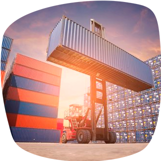  Импорт, дистрибуция