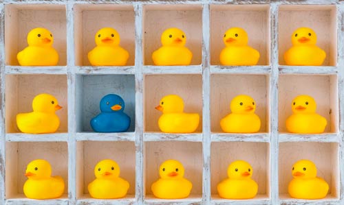 corada-1c-ducks.jpg corada-1c-ducks.jpg