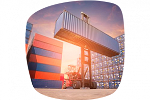  Импорт, дистрибуция