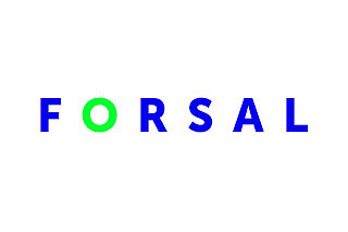 Форсал Аудит информационной системы для производителя бытовой химии  Форсал Аудит информационной системы для производителя бытовой химии