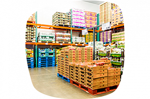 Оптовая торговля