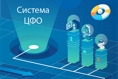 Центр финансовой ответственности: что это, виды и система ЦФО