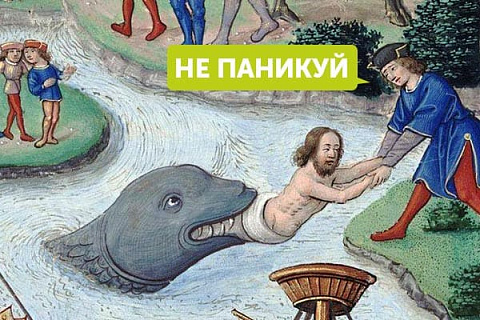 Стратегия "Не паникуй" от Корады